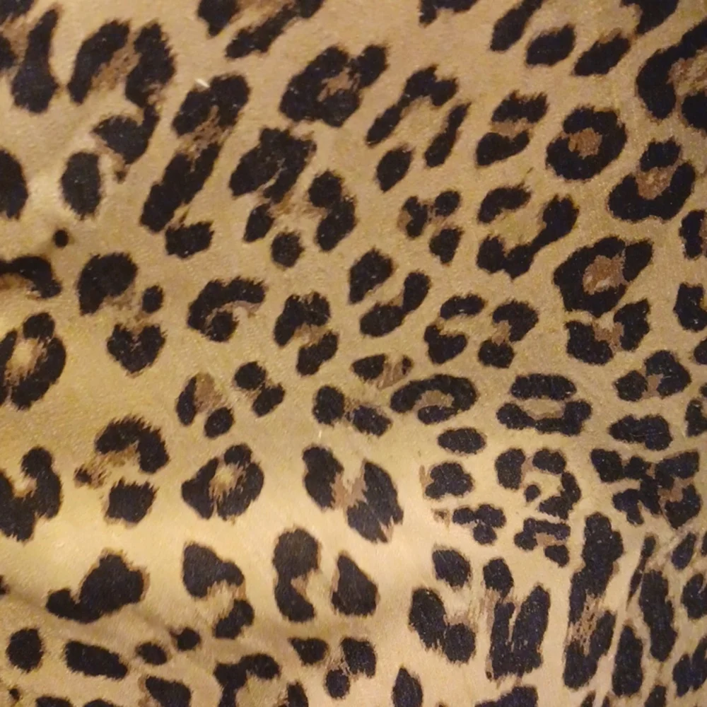 House of Harlow 1960 x REVOLVE Delaney Duster in Leopard - Picture 4 of 12